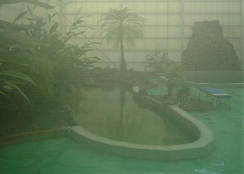 ジャングル風呂6